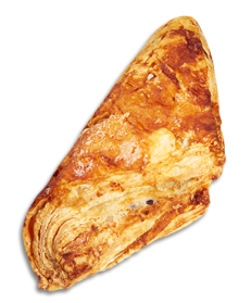 Bluberry Turnover
