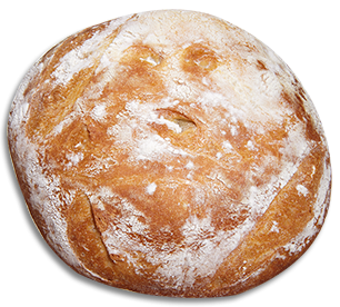 Ciabatta Bread