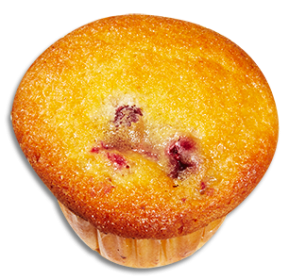 Cranberry Muffin