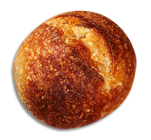 French Dinner Roll