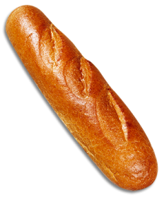 Italian Regular